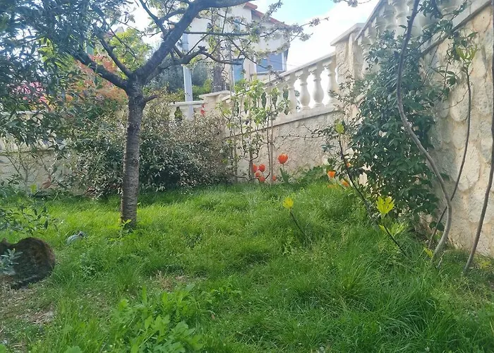 Appartement Maison Douillet