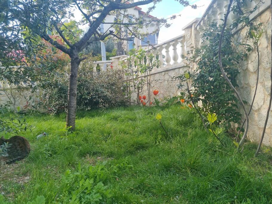 Maison Douillet * Arcueil